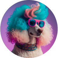 by Lilly-Rose Holland